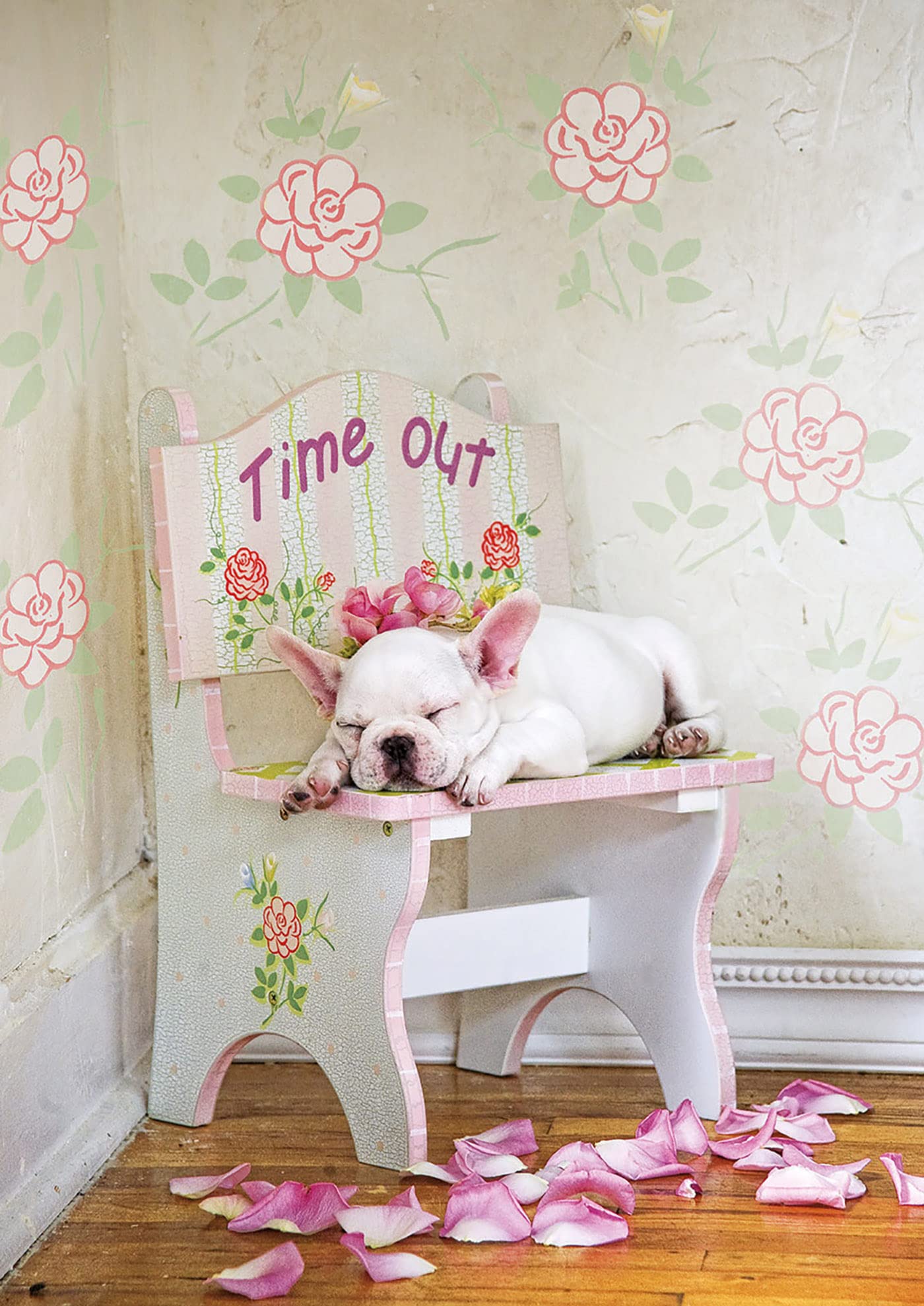 educa-16734-taking-time-out-welpe-puzzle-500-teile image 2