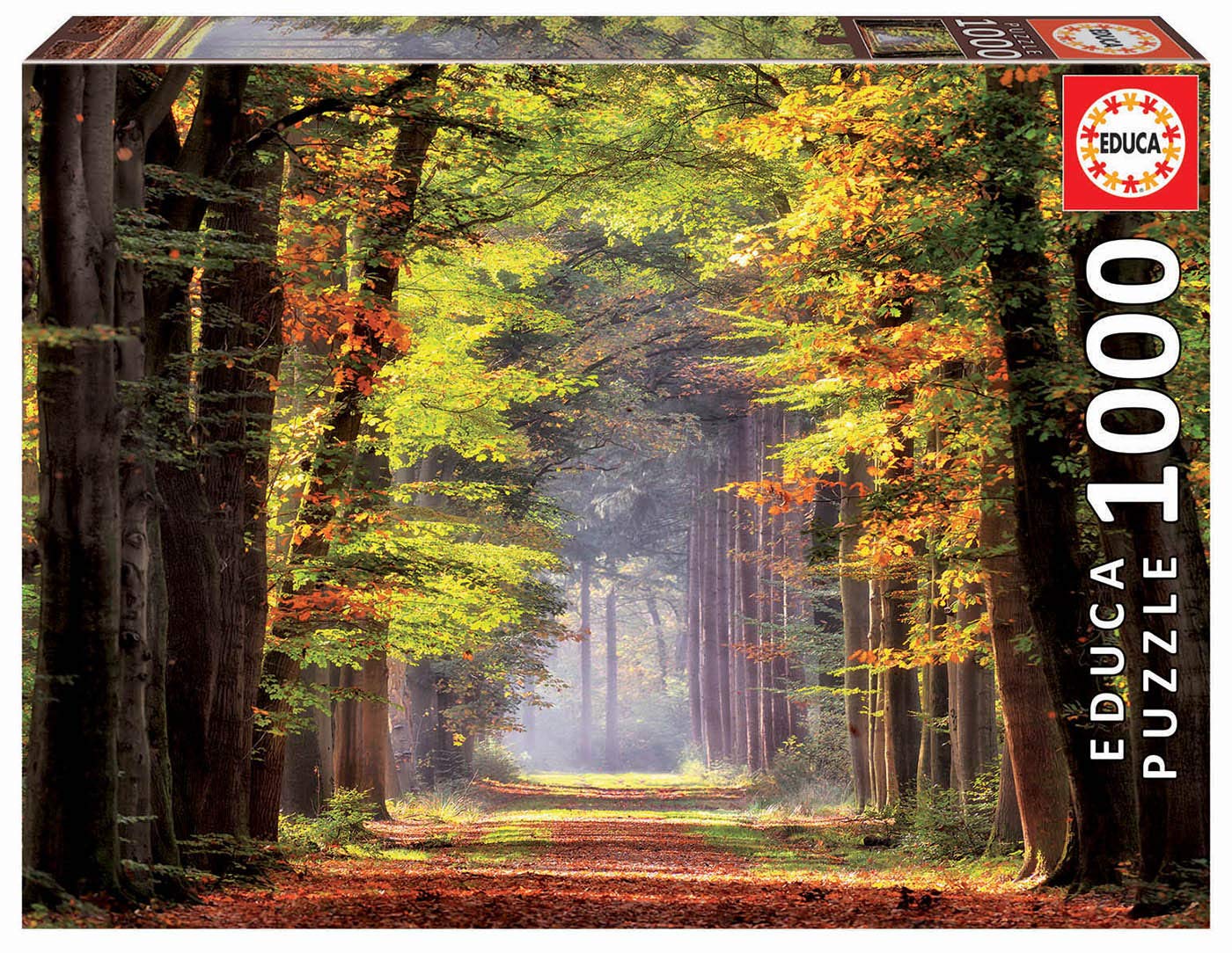 educa-herbstwald-19021-puzzle-1000-teile-landschaft image 1