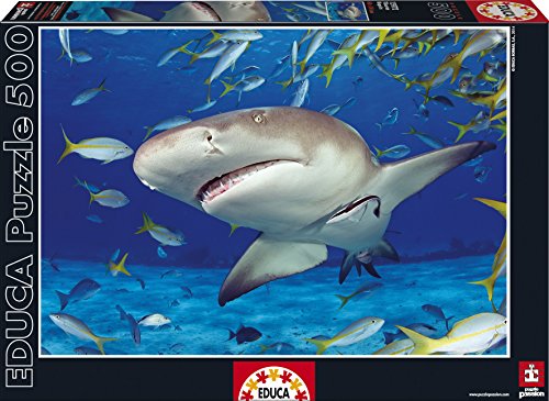 educa-15972-hai-500-teile-puzzle-haifisch-meer image 3