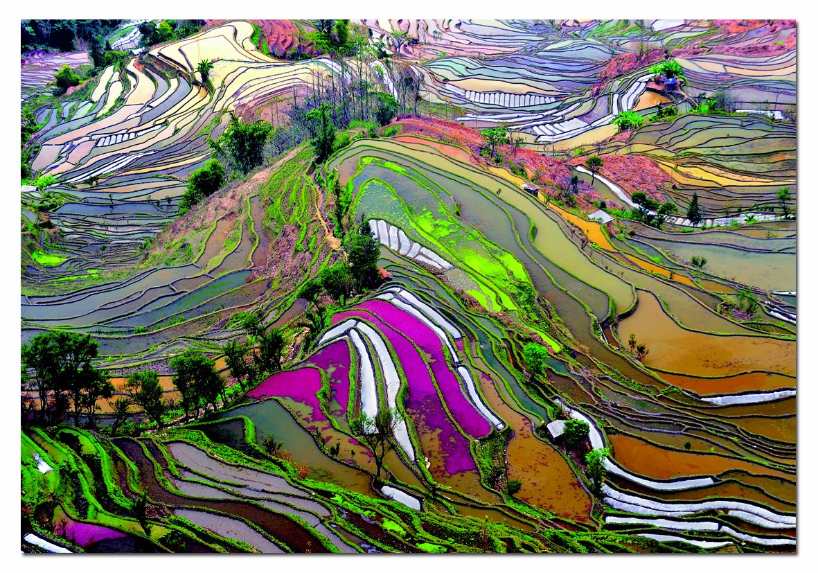 educa-15156-reisfelder-china-puzzle-1000-teile image 1