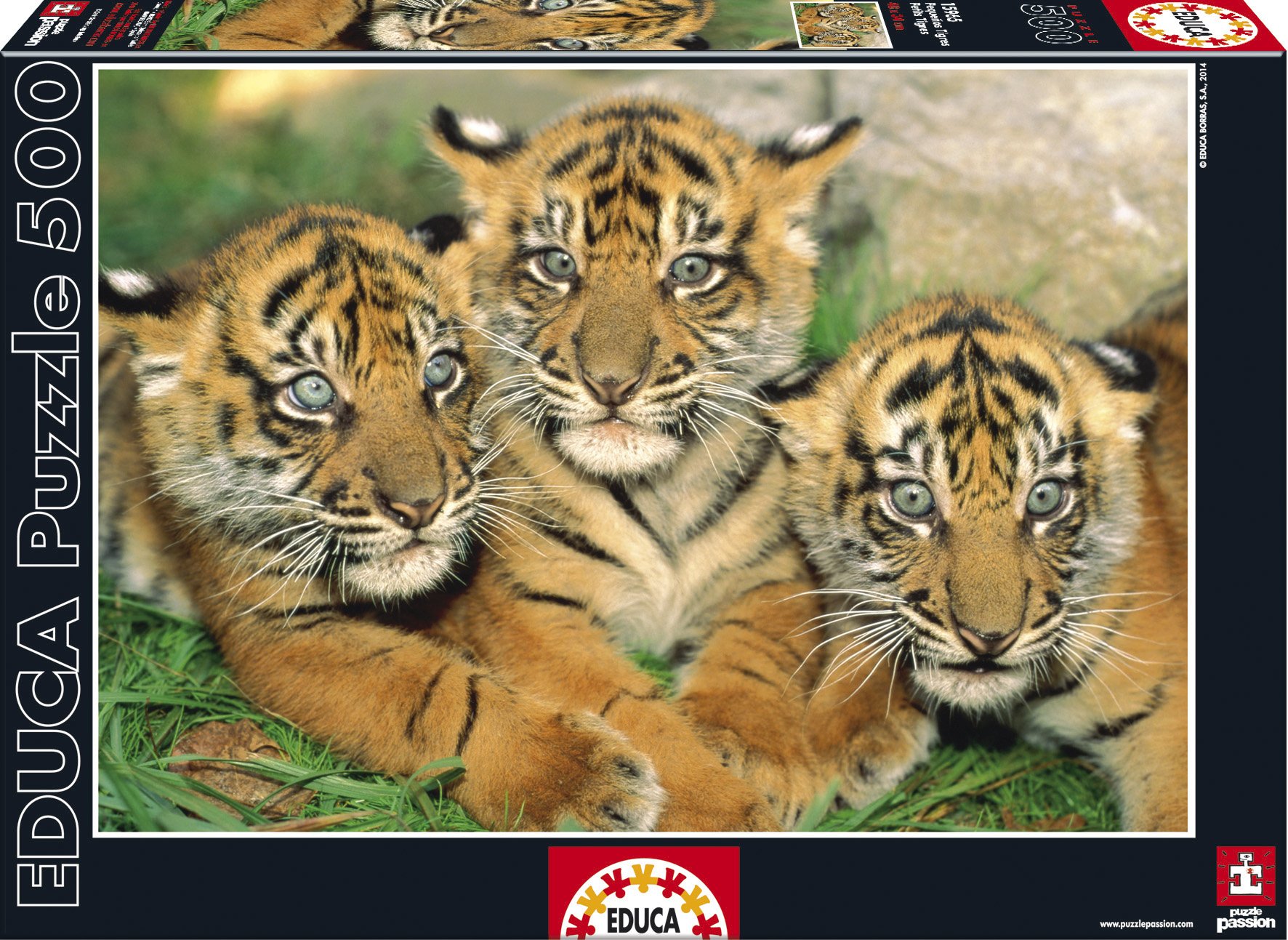 educa-15965-tigerbabies-500-teile-puzzle-tigerbabys image 1