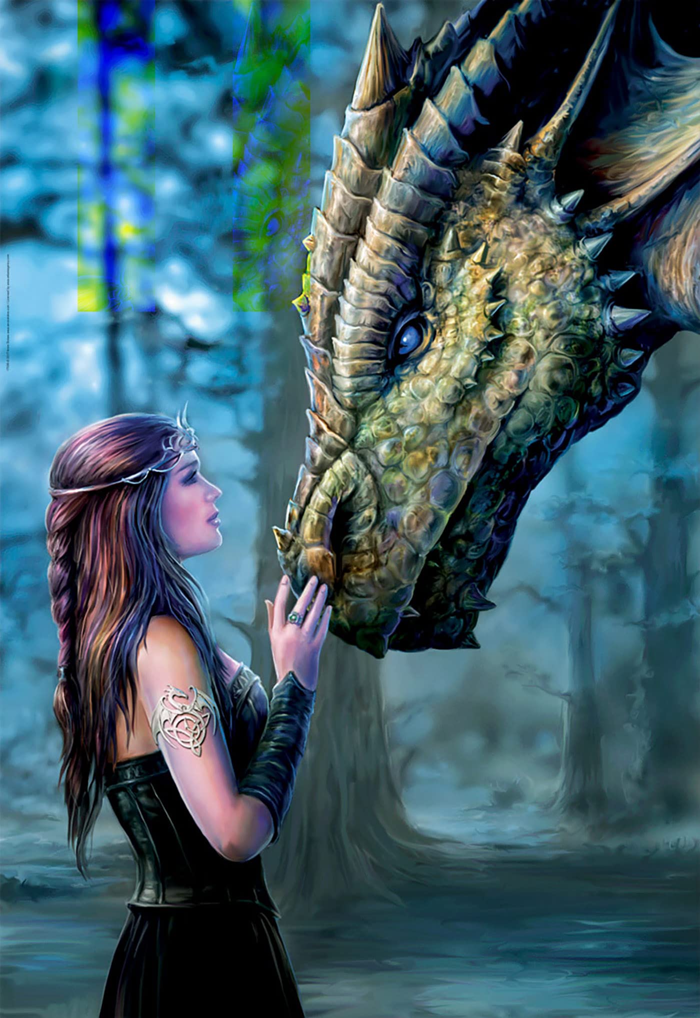 educa-17099-drachenfl-sterin-puzzle-1000-teile-fantasy image 2