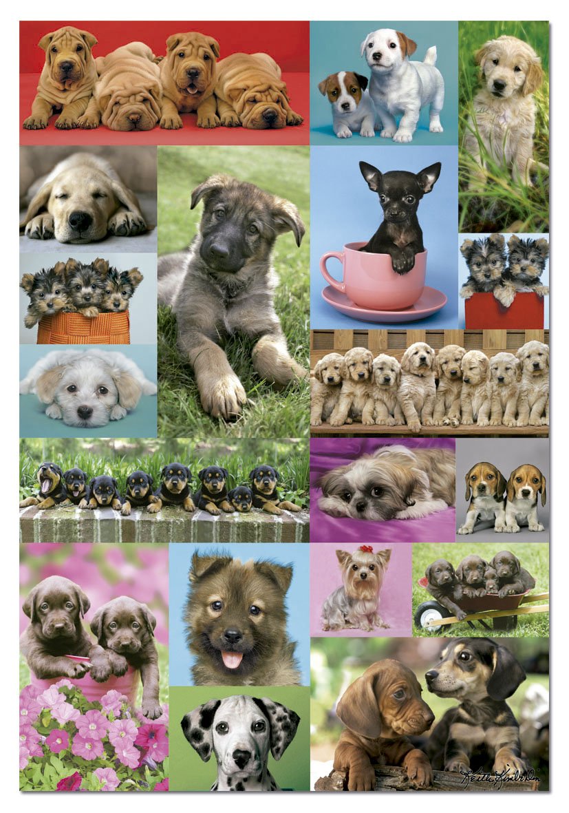 educa-welpencollage-14441-puzzle-1000-teile-68x48-cm image 2