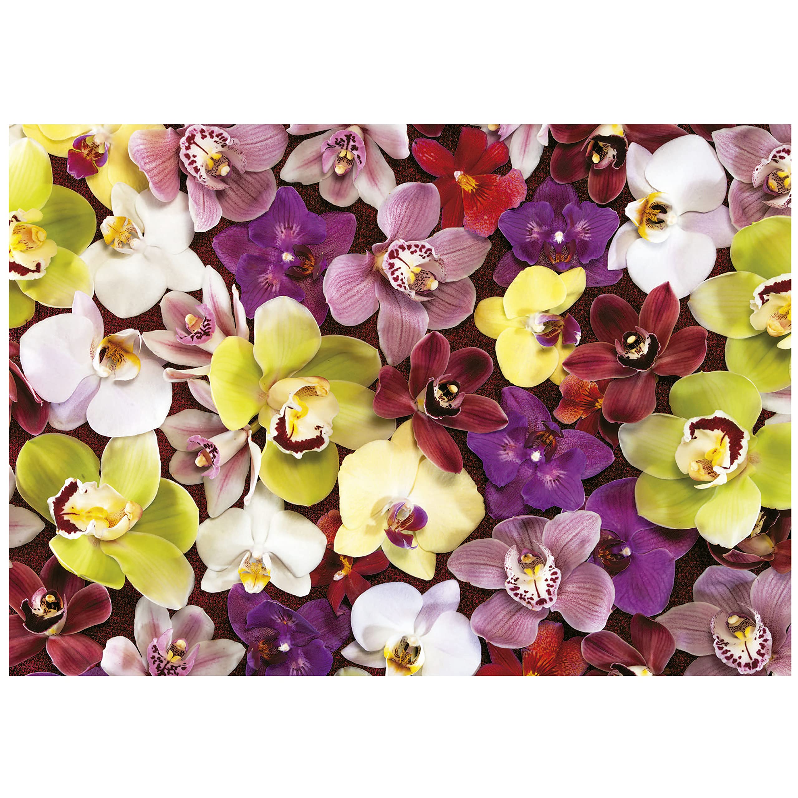 educa-19558-orchideen-collage-puzzle-1000-teile image 2