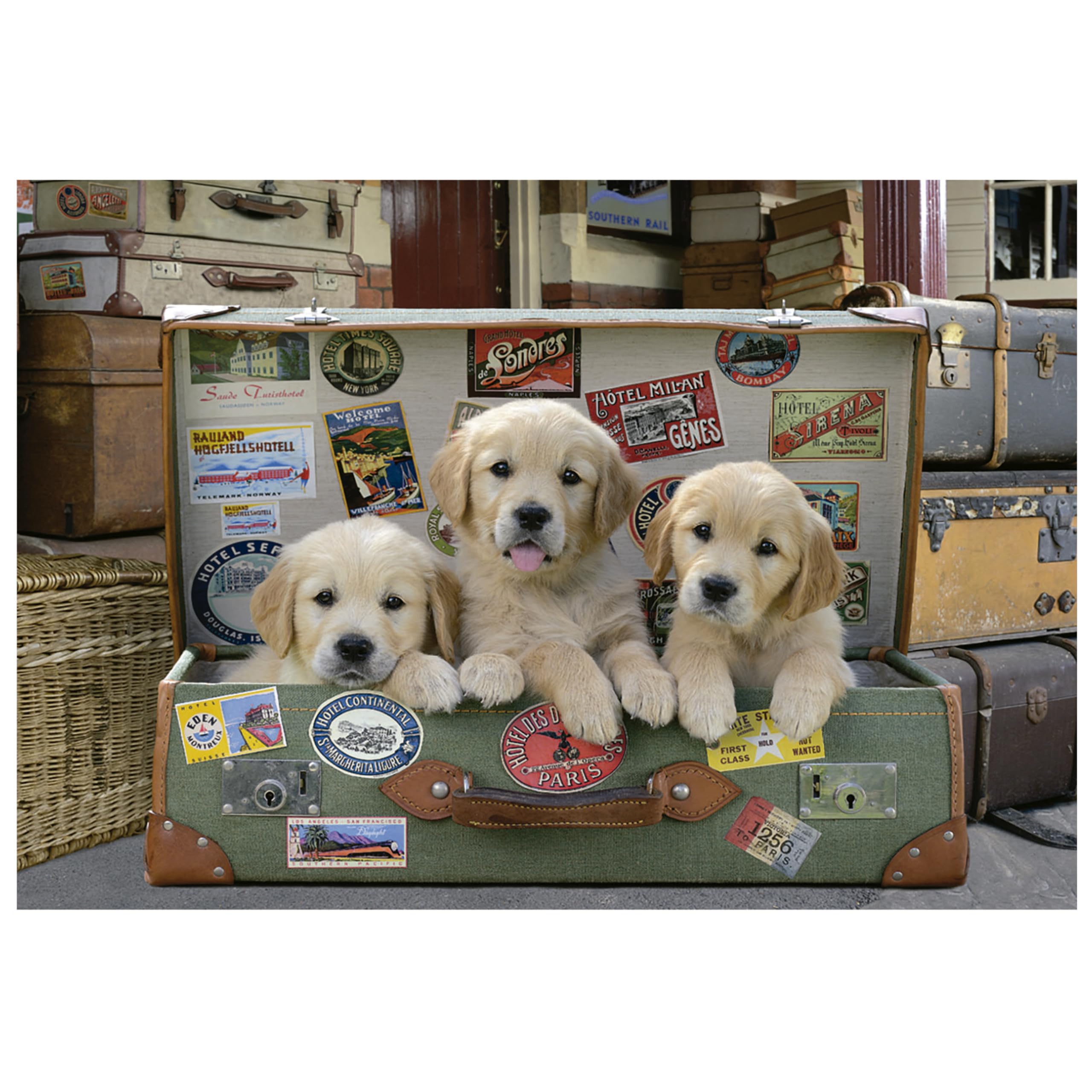 educa-hunde-im-koffer-17645-puzzle-500-teile-golden-retriever image 2