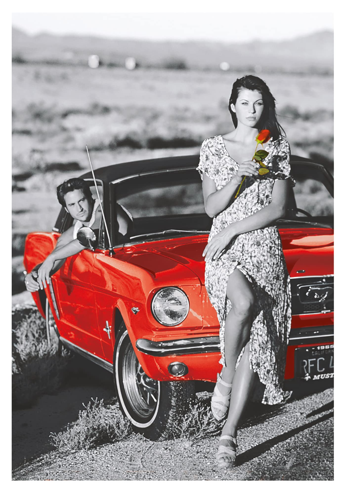 educa-16360-country-romance-puzzle-1000-teile-68x48-cm image 2