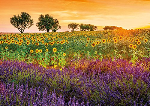 educa-17669-sonnenblumen-lavendel-puzzle-1500-teile image 4