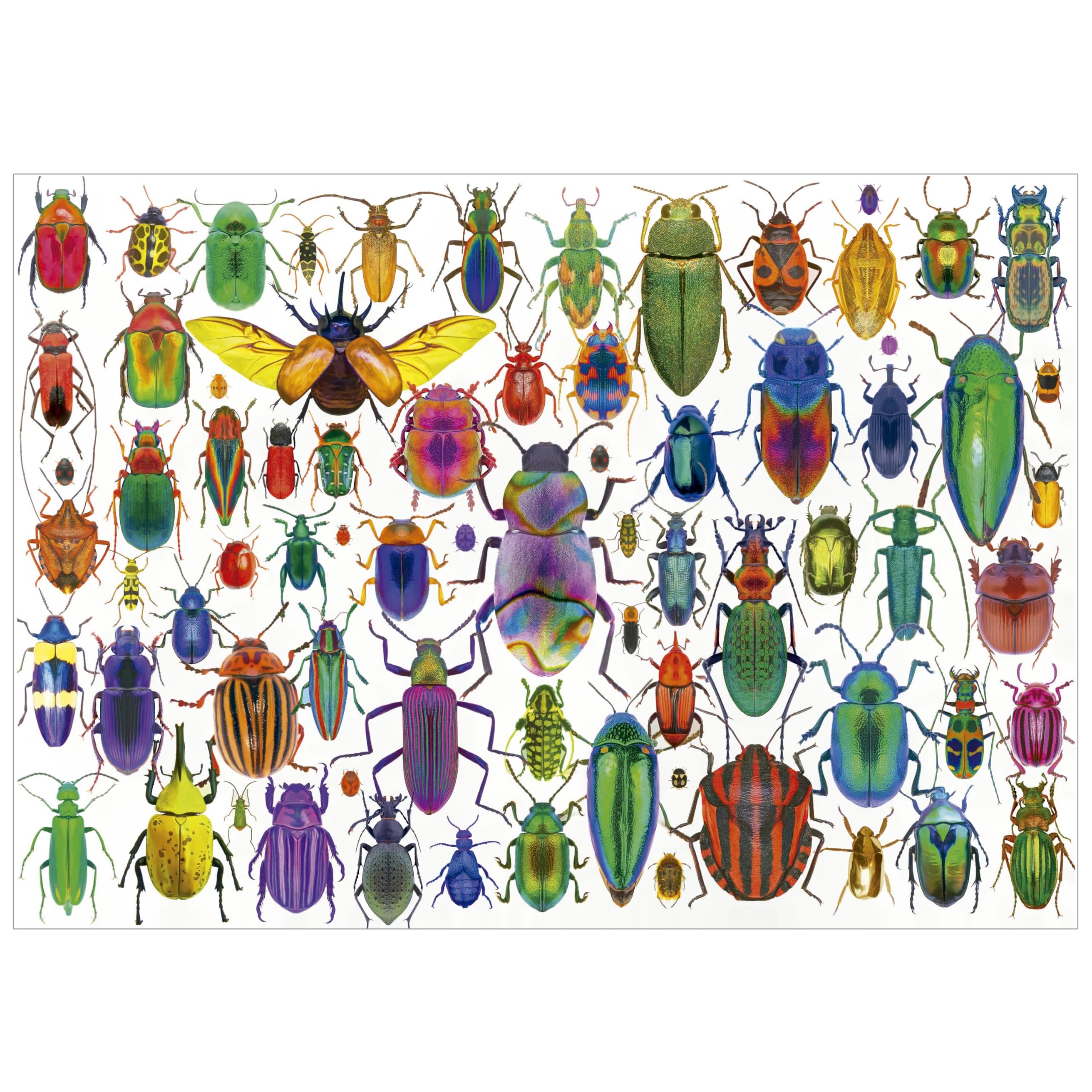 educa-20252-k-fer-puzzle-500-teile-mit-kleber-ab-11-jahren image 3