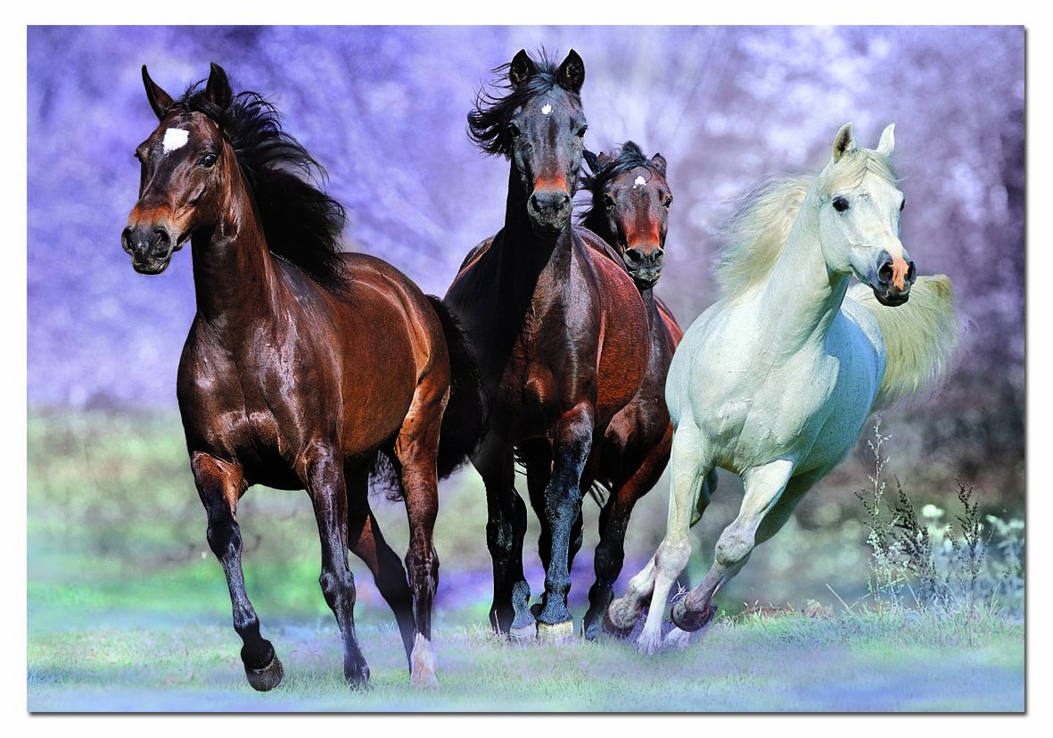 educa-14809-im-vollen-galopp-puzzle-1000-teile image 2