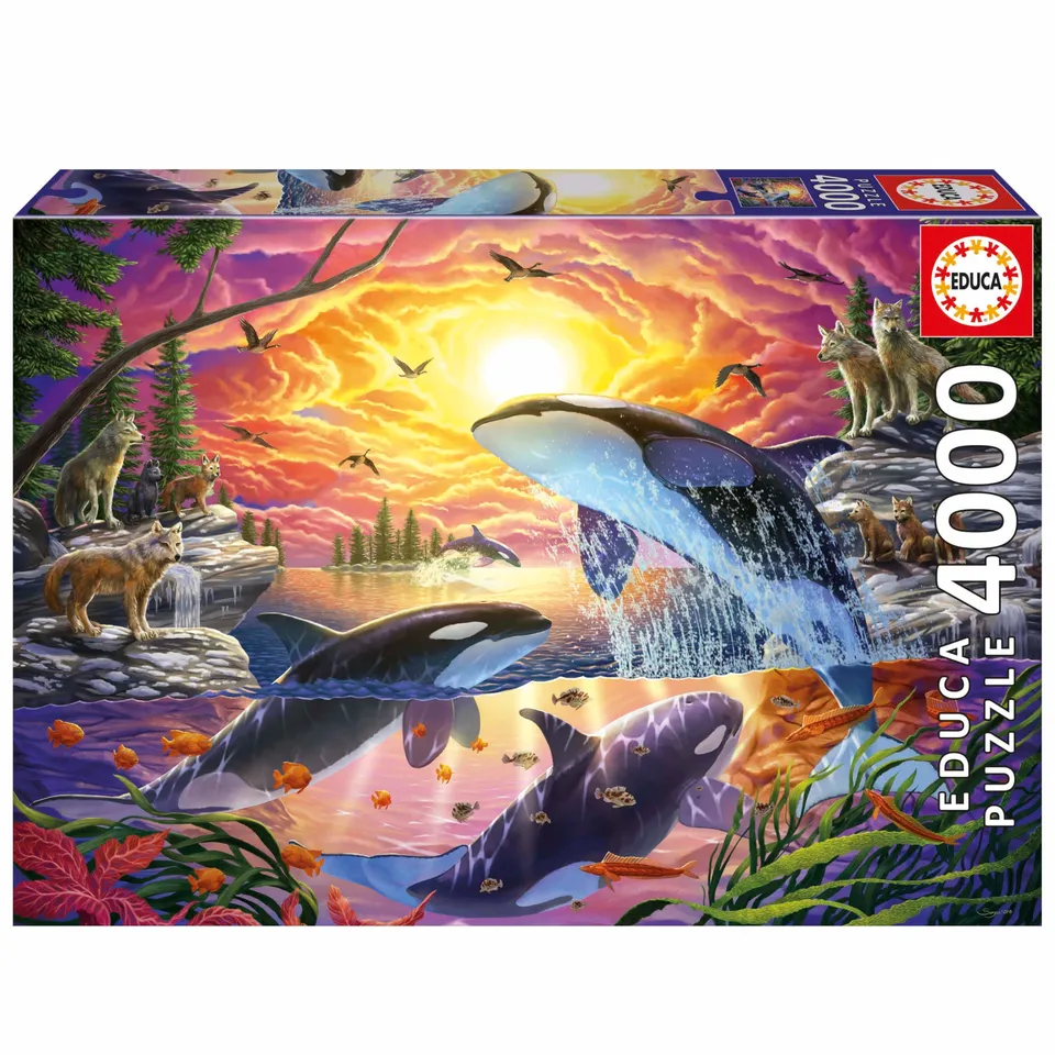 educa-orcas-und-w-lfe-puzzle-4000-teile-ab-14-jahren image 1