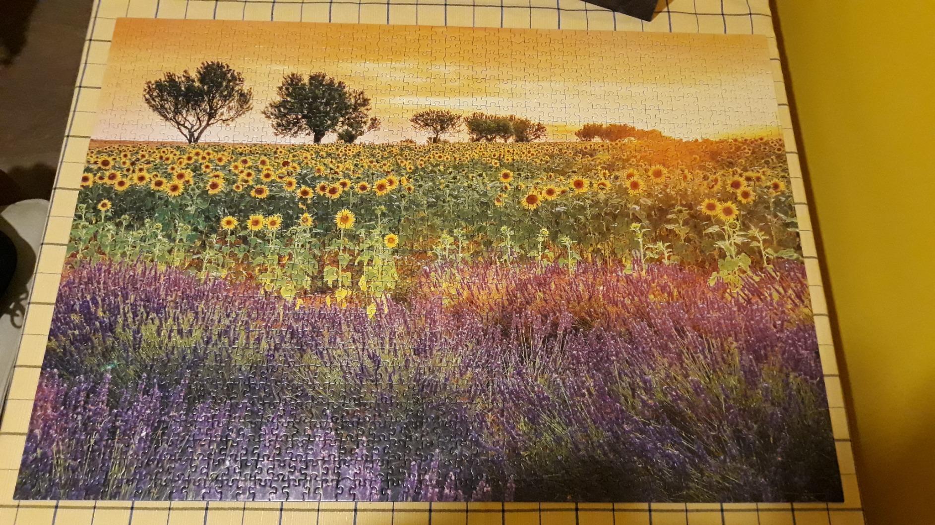 Wunderschönes Feld