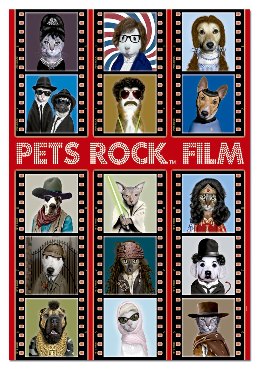 educa-15553-pets-rock-puzzle-500-teile-48x34-cm image 2