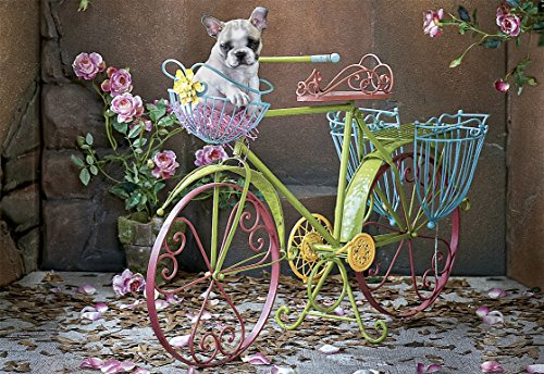 educa-easy-rider-puzzle-500-teile-motorradmotiv image 4