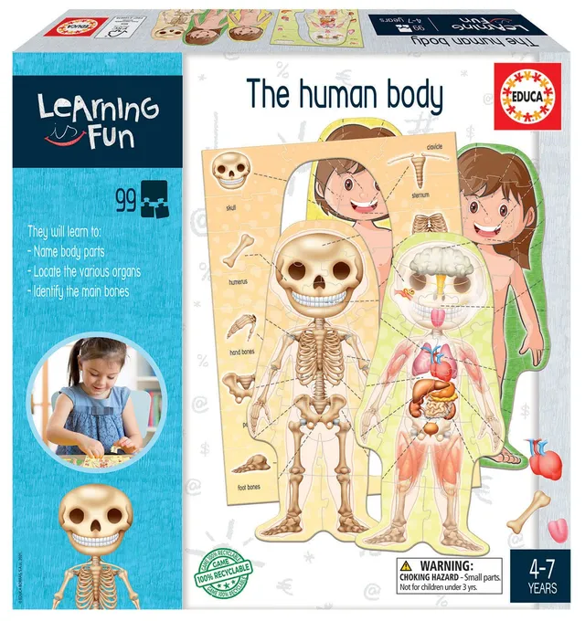educa-learning-is-fun-der-menschliche-k-rper-lernspiel-99t-ab-4-j image 1