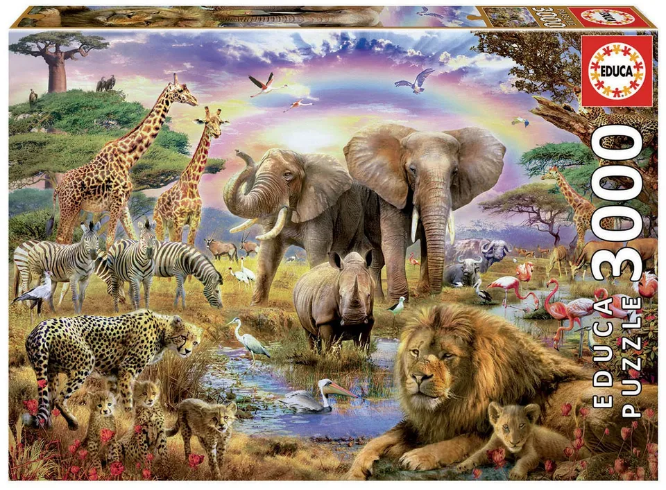 educa-17698-tr-nke-unterm-regenbogen-puzzle-3000-teile image 1