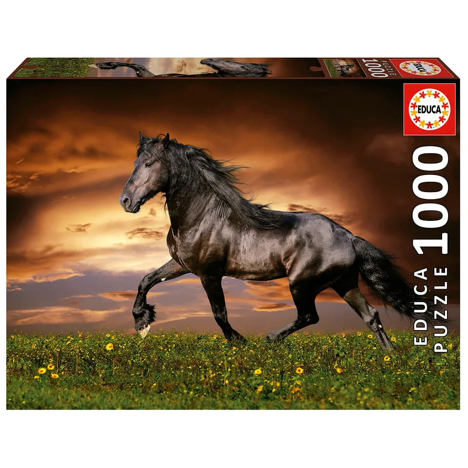 educa-friese-in-der-d-mmerung-19555-puzzle-1000-teile-pferd image 1