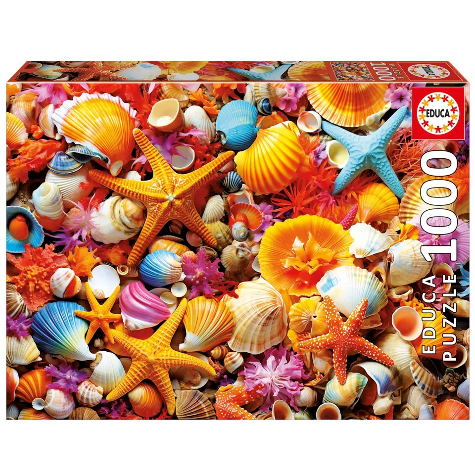 educa-20246-muschelcollage-puzzle-1000-teile-68x48-cm image 1