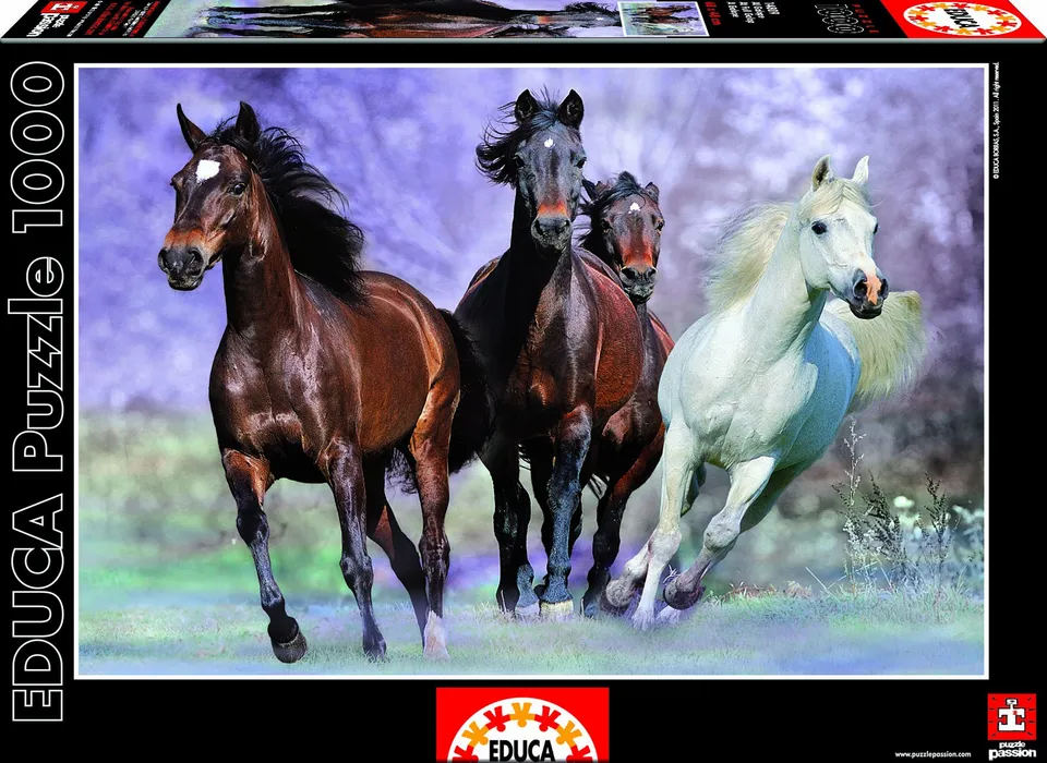 educa-14809-im-vollen-galopp-puzzle-1000-teile image 1